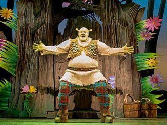 2014 UK Shrek - photo by Helen Maybanks