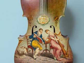 Violoncello, 1814 - photo © Jenni Carter for Sydney Living Museums