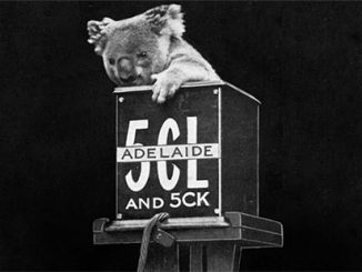 Koala - courtesy of abc archives_flickr