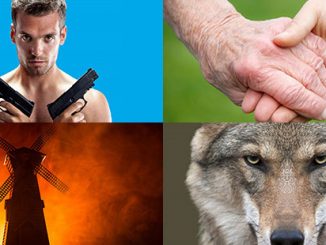 New Theatre 2020 Season