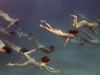 Tamara Dean, Endangered 1, 2018 (detail) - courtesy of Martin Browne Contemporary, Sydney