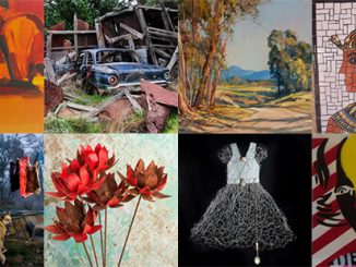 AAR Castlemaine State Festival Annual Art Auction Artists