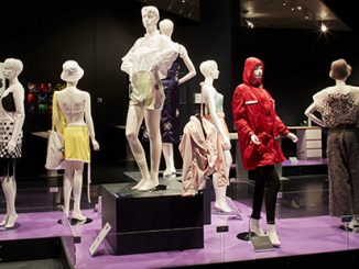 Melbourne Museum Top Designs 2020 - photo courtesy of Museums Victoria