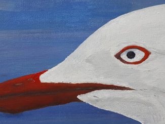 New Theatre Silver Gull - Original artwork © Michael Tonkin
