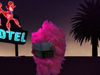 Gerwyn-Davies-Poodle-2016-detail