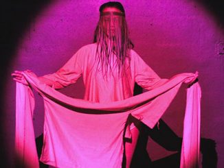 Passing-by-Amrita-Hepi-and-Jahra-Wasasala-at-PACT-Centre-for-Emerging-Artists-2016-photo-by-Carla-Zimbler