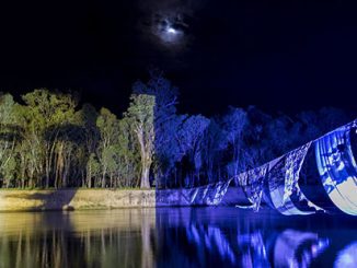 Haunting-and Vanishing-Point-Swan-Hoppers-Legacy-for-On-Common-Ground-photo-by-James-T-Farley