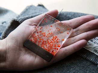 Kirstie-Rea-Field-of-Poppies-2020-courtesy-of-Canberra-GlassworksKirstie-Rea-Field-of-Poppies-2020-courtesy-of-Canberra-Glassworks