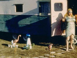 Pink-Flamingos-courtesy-of-New-Line-Cinemas