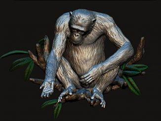 David-Greybeard-by-Artist-Lisa-Roet-CAD-image-courtesy-Airena-(Felipe-Reynolds)