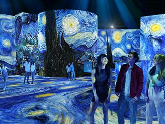 The-LUME-Starry-Night