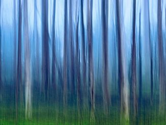 Ben-Goode-Adelaide-Hills-movement