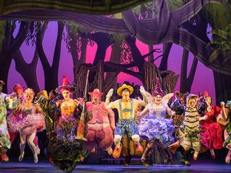 SHREK-The-Musical-Ensemble-photo-by-Brian-Geach