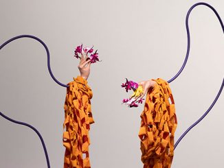 Carriageworks-Runway-Journal-Nathan-Beard,-Limp-wristed-Gesture-(i)-2020-(detail)-photo-by-Bo-Wong