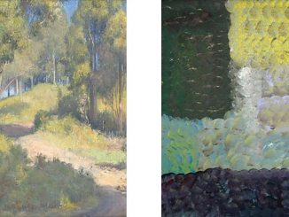 Benalla-Art-Gallery-In-and-of-this-place