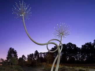 John-Meade-with-Emily-Karanikolopoulos-Love-Flower-2019-photo-by-Andrew-Curtis-Southern-Way-McClelland-Commission