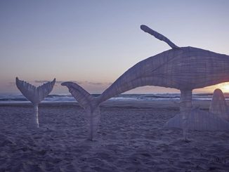 AAR-SWELL-Sculpture-Festival-Sam-Gowing-Whale-Playground-photo-by-Lex-Imagery