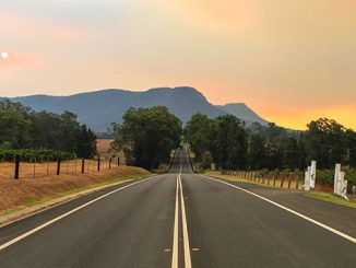 Hunter-Valley-Gardens-Pokolbin-photo-by-Photoholgic-on-Unsplash 