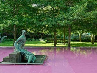 NGV-Architecture-Commission-2021-pond[er]-by-Taylor-Knights-and-James-Carey-photo-by-Derek-Swalwell