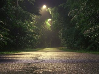 The Park photo by Shchus Shutterstock