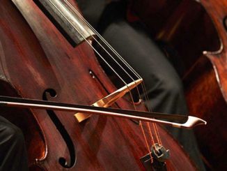 Double Bass Melbourne Symphony Orchestra