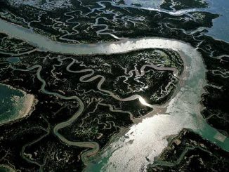 AAR-Madman-RIVER-photo-by-Yann-Arthus-Bertrand