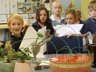 CLP-Lismore-Primary-School-students-making-Unique-Digital-instruments-photo-by-Singing-Bowl-Media