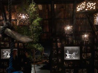 MONA-Fiona-Hall-AJ-King-Exodust-Crying-Country-Installation-View