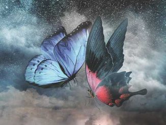 Victorian-Opera-The-Butterfly-Lovers