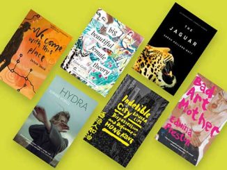 The-2023-Stella-Prize-Shortlist