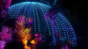 LIGHTSCAPE Returns With New Light Installations At Royal Botanic ...