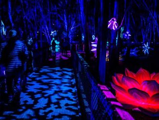 Moama-Lights-photo-courtesy-of-Murray-River-Council