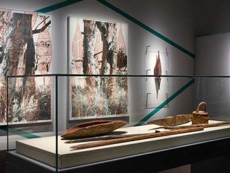 Museums-Victoria-More-Than-a-Tarrang-(tree)-Memory-Material-and-Cultural-Agency-photo-by-Eugene-Hyland