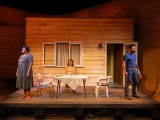 AAR-Queensland-Theatre-don't-ask-what-the-bird-look-like