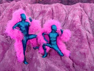 APN-MELT-Festival-The-Huxleys