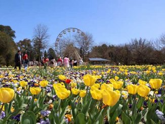AAR-Floriade-2023