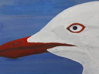 NT The Silver Gull by Michael Tonkin