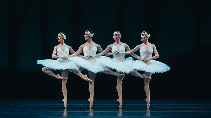 Swan Lake | Australian Arts Review