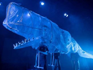 Melbourne Grammar Moby Dick