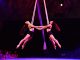 AF24 Aerial Artists Adelaide Aerialicious at Fool's Paradise 2023 photo by Missy Smiley