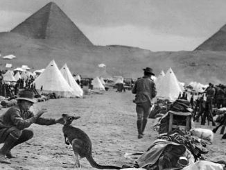 AAR-Gallipoli-A-Story-Untold