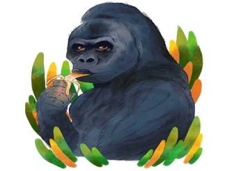 GR MICF Thats One Damn Sexy Ape