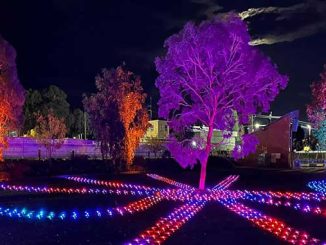 River Lights courtesy of Swan Hill Region Information Centre