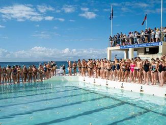 SFF The Pool