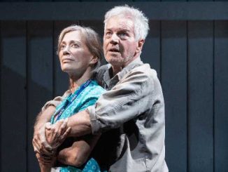 Sydney Theatre Company Into The Shimmering World photo by Daniel Boud