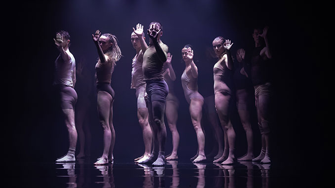 Sydney Dance Company momenta photo by Pedro Grieg