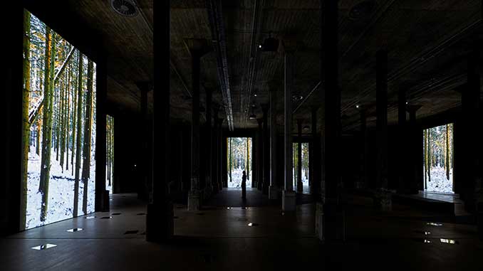 AGNSW Installation of Angelica Mesiti The Rites of When 2024