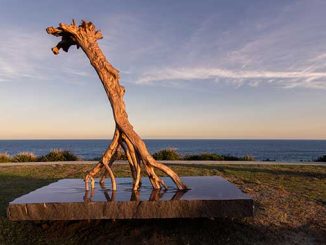 Sculpture by the Sea 2024 Professor Shen Lieyi Tracing photo by Charlotte Curd