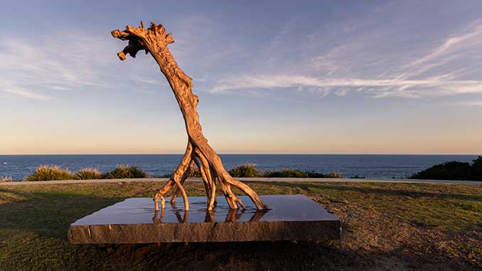 Sculpture by the Sea 2024 Professor Shen Lieyi Tracing photo by Charlotte Curd