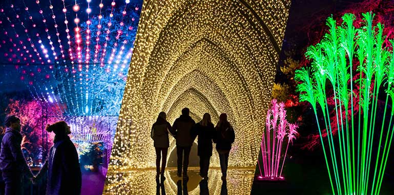 RBGV Lightscape at Royal Botanic Gardens